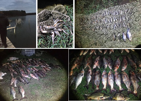 Под Харьковом в пруду нашли браконьерские сети с рыбой