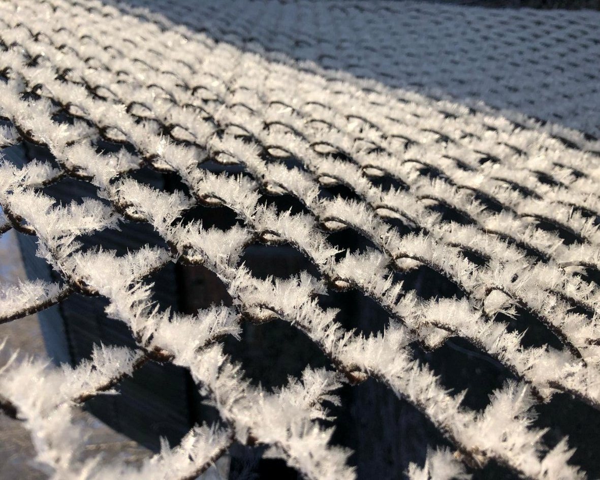 "Пушистые гирлянды". В Сети опубликовали впечатляющее фото кристаллической изморози под Харьковом