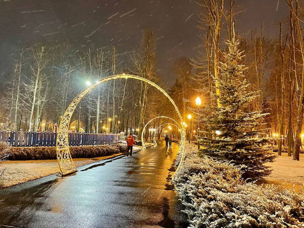 В Харькове зажгли новогодние огни (фото)