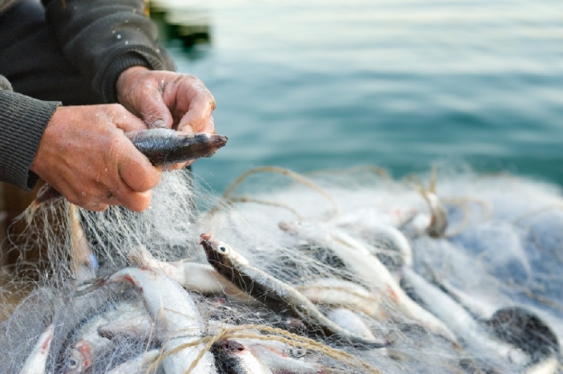 Под Харьковом браконьер наловил рыбы на полмиллиона