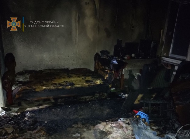Под Харьковом вспыхнул дом: хозяин получил ожоги, спасая имущество