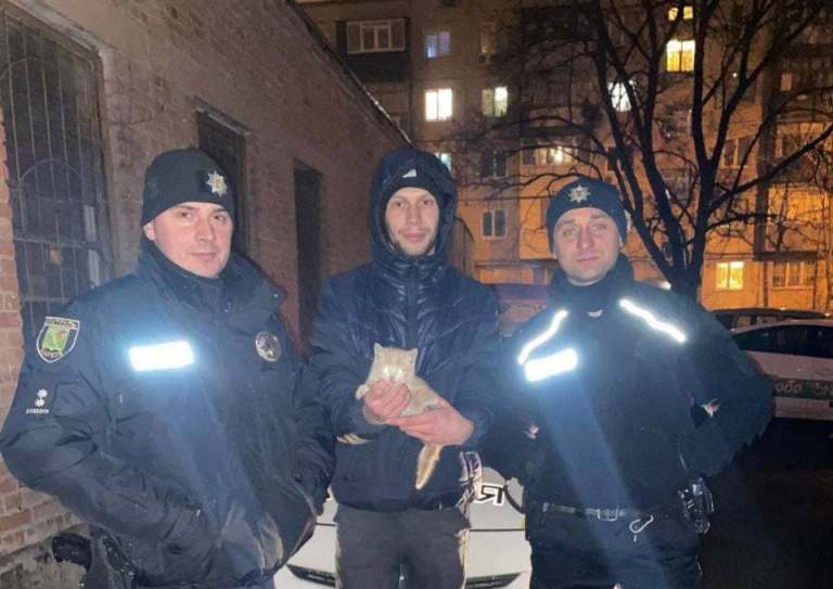 Просидел трое суток под капотом: в Харькове патрульные с помощью шаурмы спасли котенка