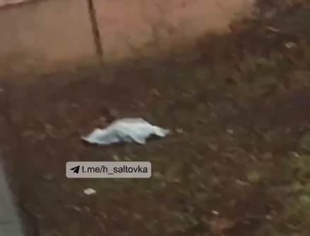 На Салтовке мужчина упал с балкона и разбился (видео)