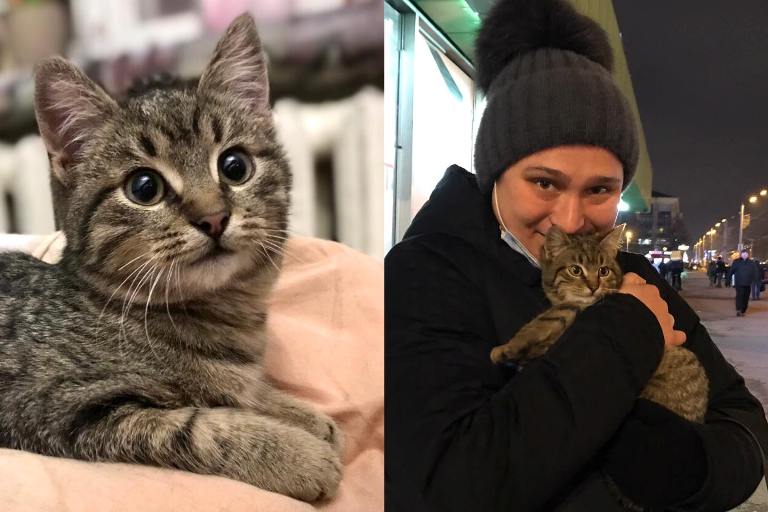 Котенку, которого достали с рельсов метро, нашли хозяев