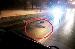В Харькове Volkswagen насмерть сбил бабушку