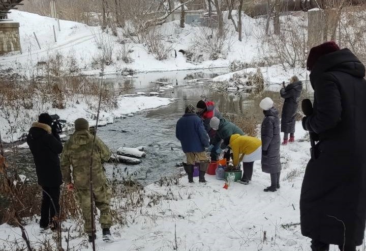 Мертвые утки в реке: что показали пробы воды