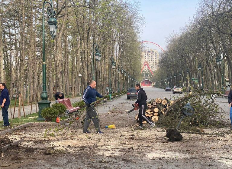 Парк Горького в Харькове убирают после обстрелов: фото