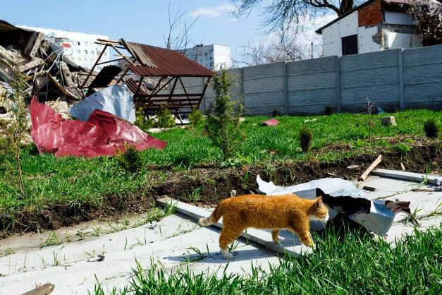 В Чугуев начали возвращаться люди