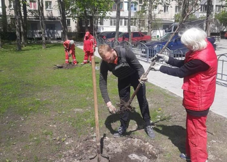 Несмотря на войну в Харькове садят деревья (фото)