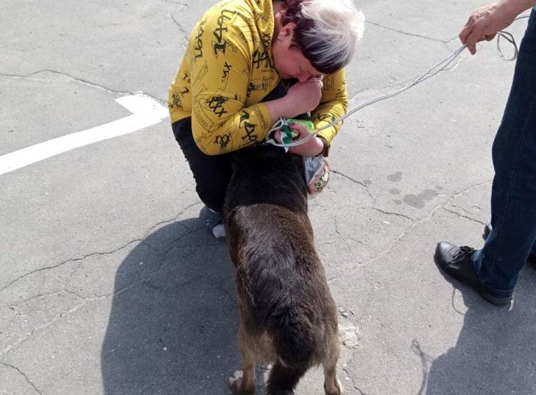 В Харькове из канализационного люка спасли собаку