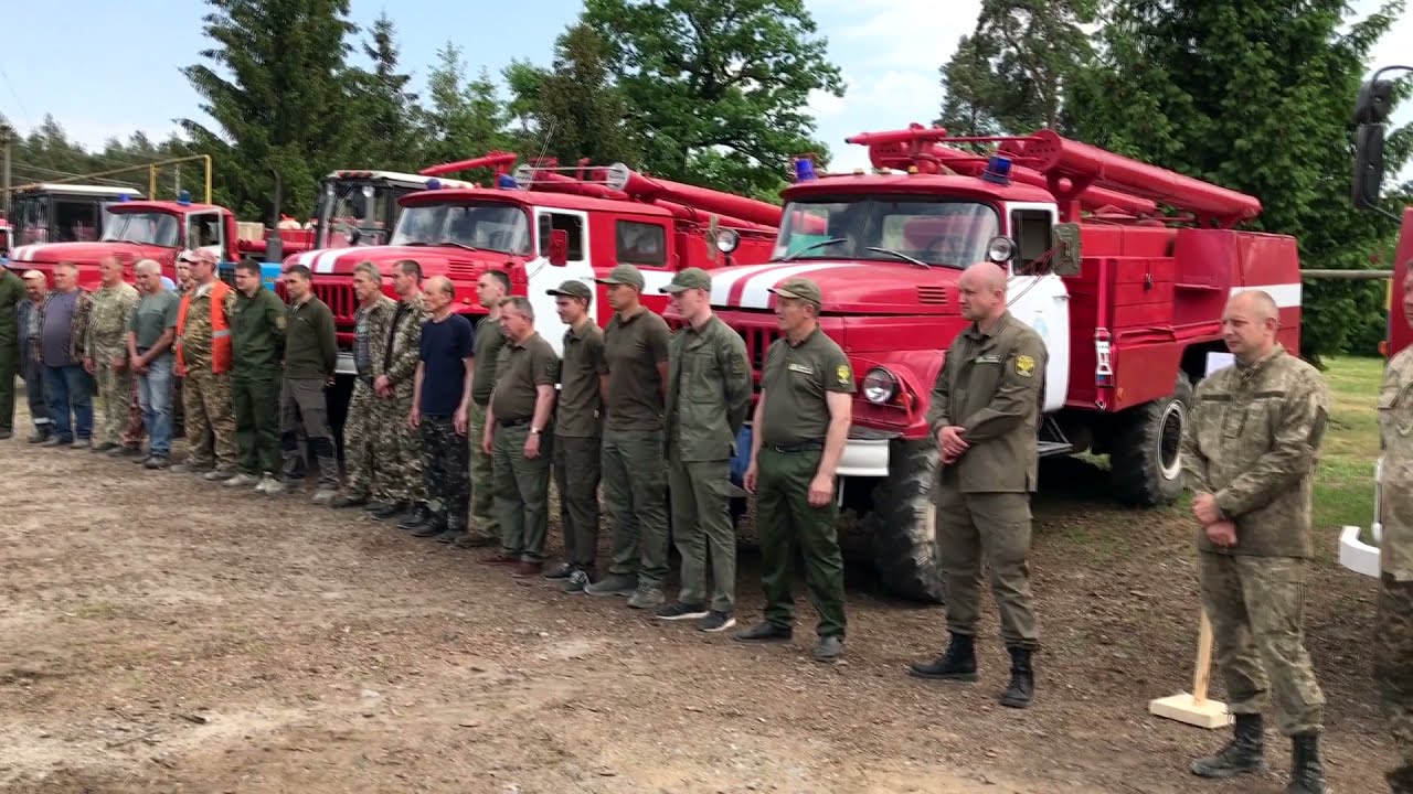 Оккупанты разграбили Изюмский лесхоз, району грозят пожары