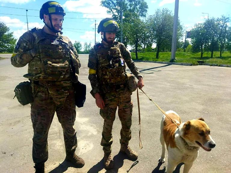 Вытащили с поля боя: под Харьковом из "горячей точки" спасли собаку