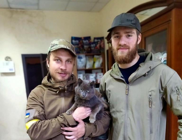Из освобожденного поселка под Харьковом военные спасли кота