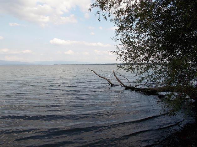 В Харьковской области запретили купаться в водоемах