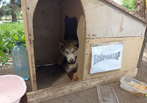 В Харькове пожарную часть охраняет Байрактар: фото