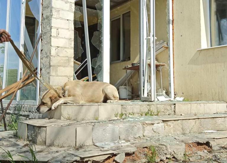 Из разрушенного снарядом дома на Большой Даниловке спасли собаку