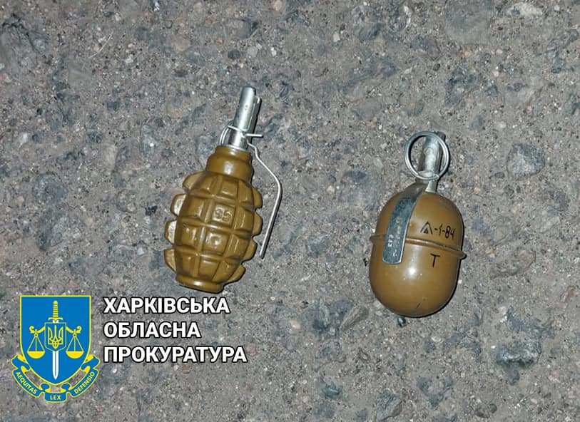 Житель Харьковской области разгуливал по улицам с боевыми гранатами