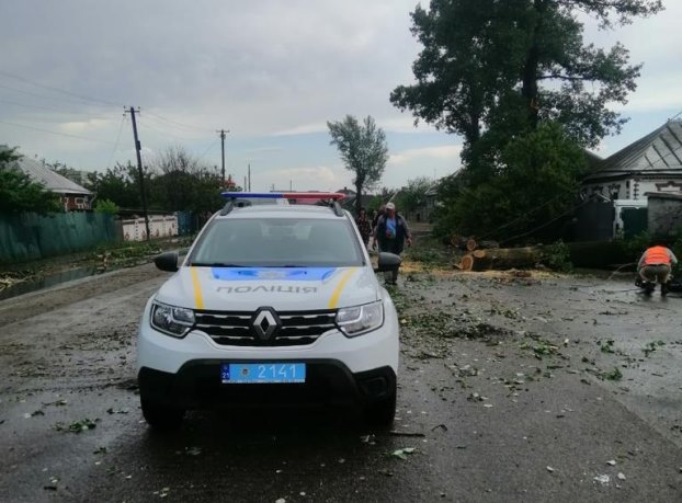 В Харьковской области стихия повалила деревья и столбы (фото)