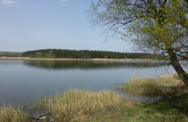 В одном из районов Харьковской области запретили ходить в леса и купаться в водоемах