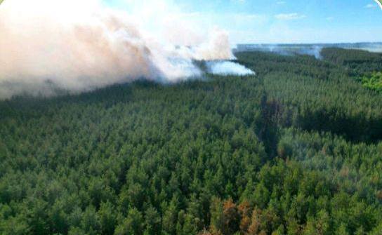В Харьковской области после обстрелов горят леса (фото)