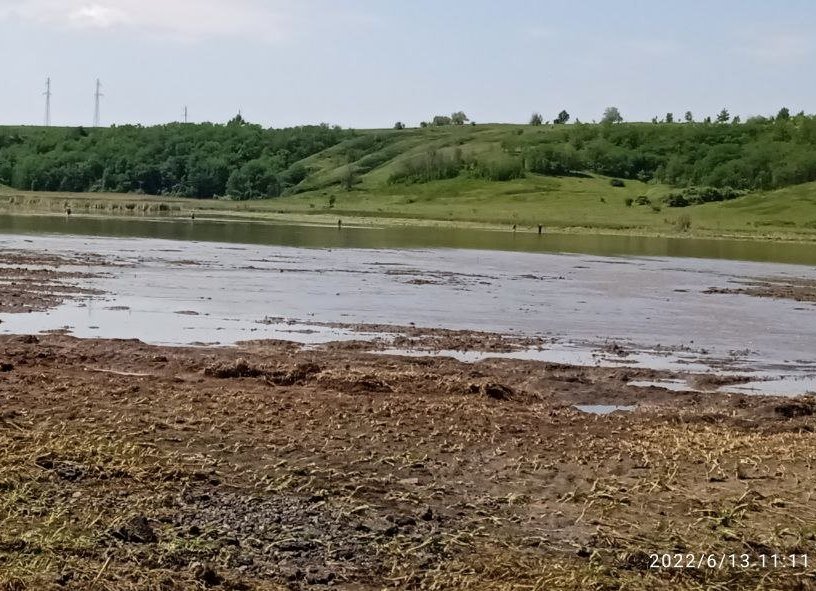 В Харьковской области непогода разрушила дамбу: затоплены поля