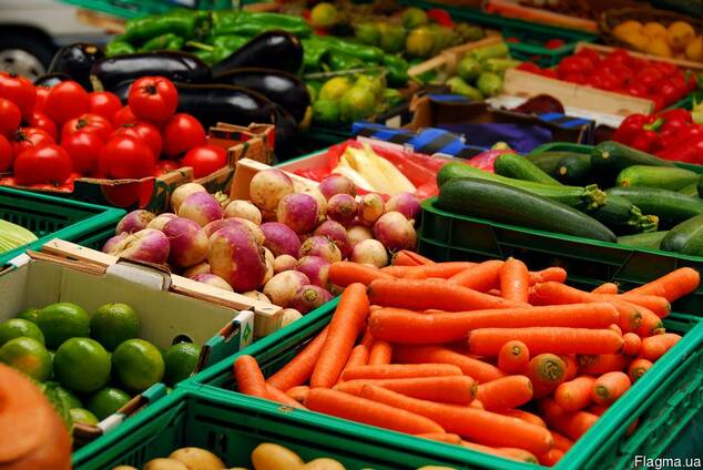 В Харьковской области больше нет массового производства овощей
