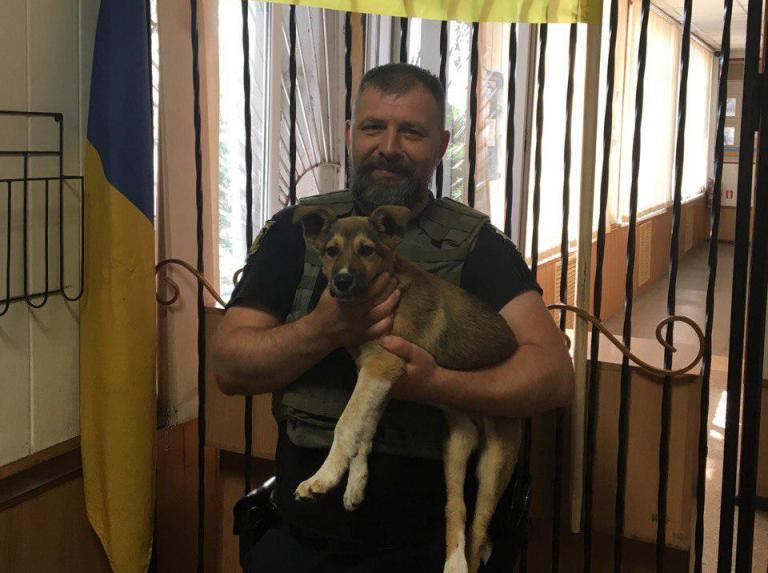 В Харьковской области полицейские спасли собаку от голодной смерти