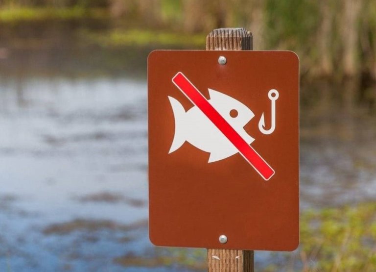 В Харьковской области запретили ловить рыбу и плавать на лодках
