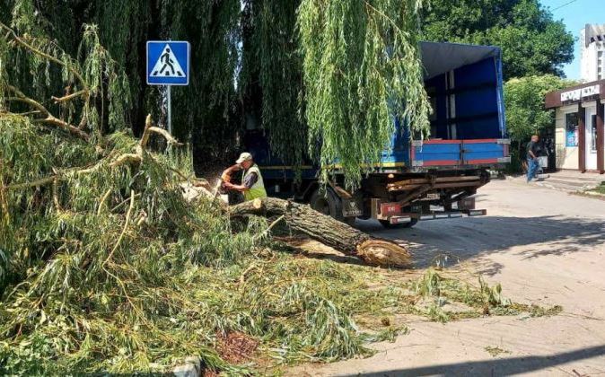 В Харькове убирают поваленные ливнем деревья и ветки (фото)