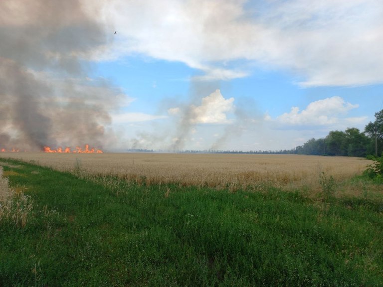 В Харьковской области после обстрелов загорелось поле пшеницы: фото
