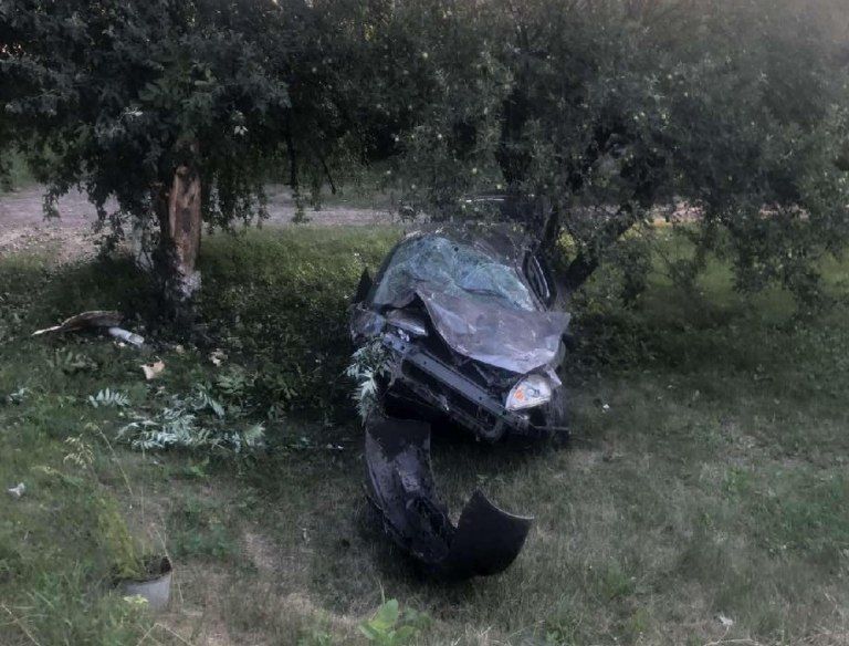 Лобовое столкновение в Харьковской области: машины вылетели в кювет, есть жертвы