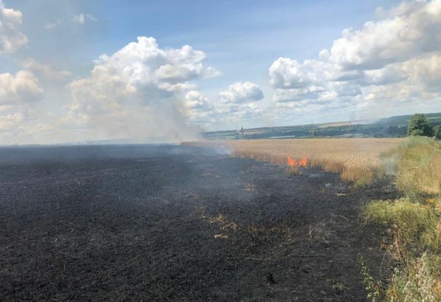 У прикордонному районі Харківської області фермери не збиратимуть урожай: надто багато обстрілів