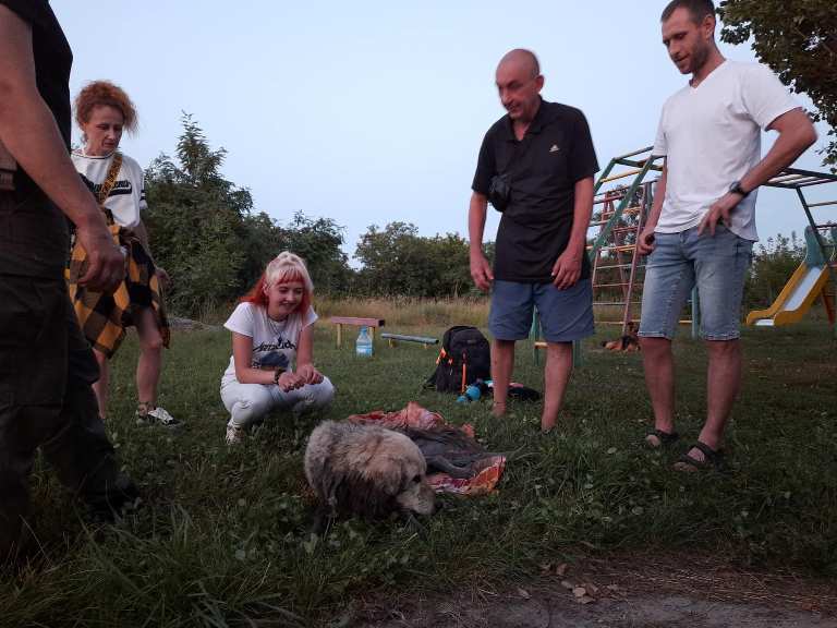В Харькове из реки спасли собаку