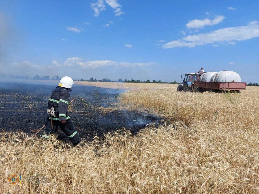 В Харьковской области придется сжечь урожай прямо на полях