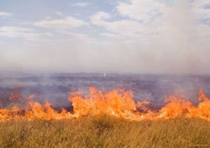 На Харківщині згоріло 240 гектарів полів