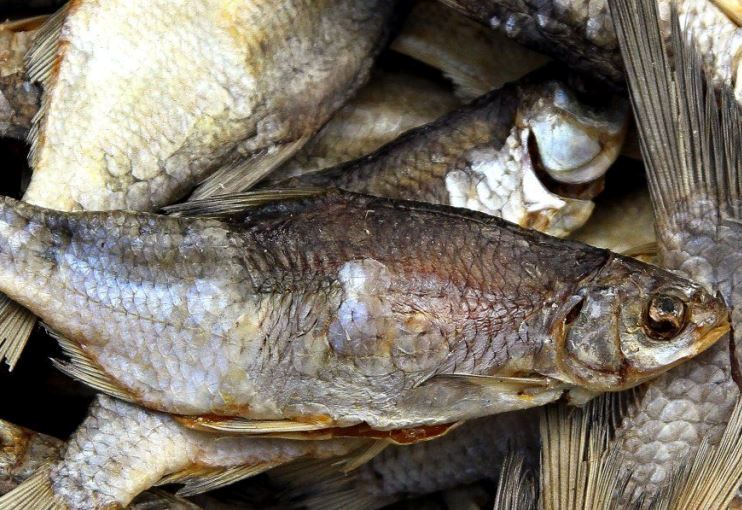 У Харкові оштрафували магазин, який торгував небезпечною рибою