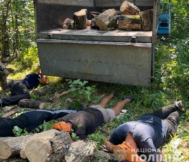 Харьковчане, нарушив закон, начали запасаться дровами на зиму