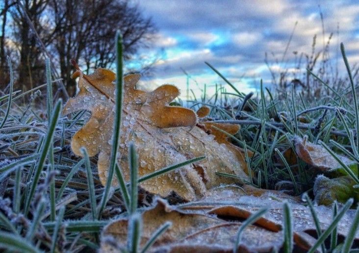 На Харків йдуть заморозки