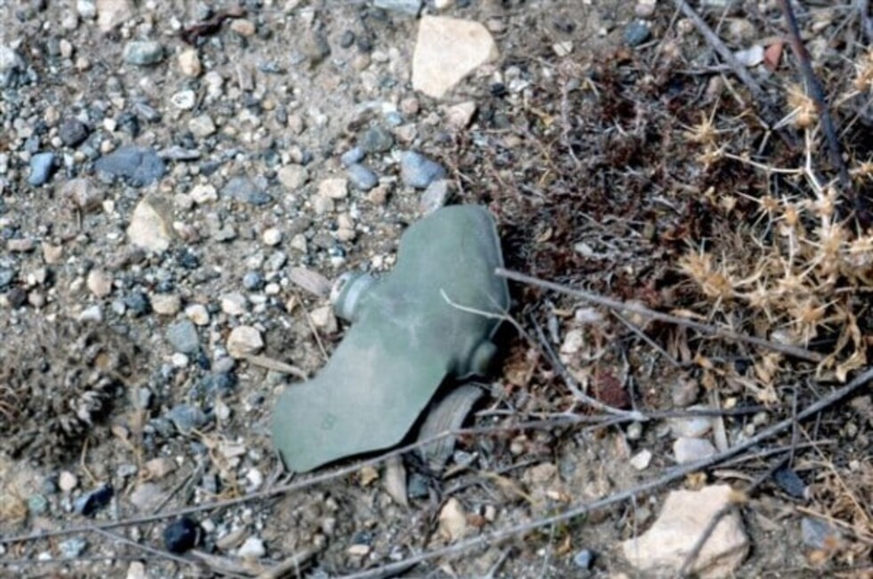 В Харьковской области за сутки нашли больше 1000 смертельных мин: чем опасны "лепестки"