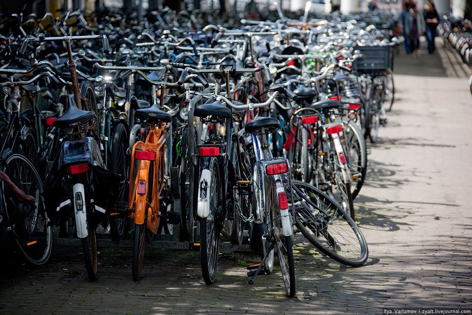 Харьковчанам передадут забытые в Амстердаме велосипеды