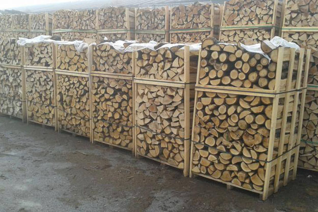 Жители Харьковской области могут бесплатно получить дрова