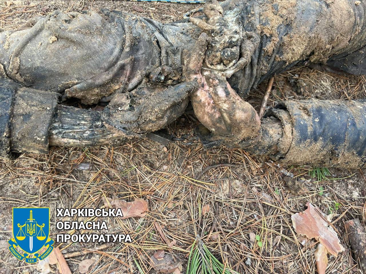 В Харьковской области нашли яму с убитыми. Тела скованы между собой наручниками (фото, видео 18+)