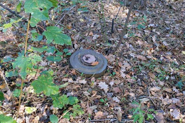 В Харьковской области ежедневно находят 1,5 тысячи мин и боеприпасов (видео)