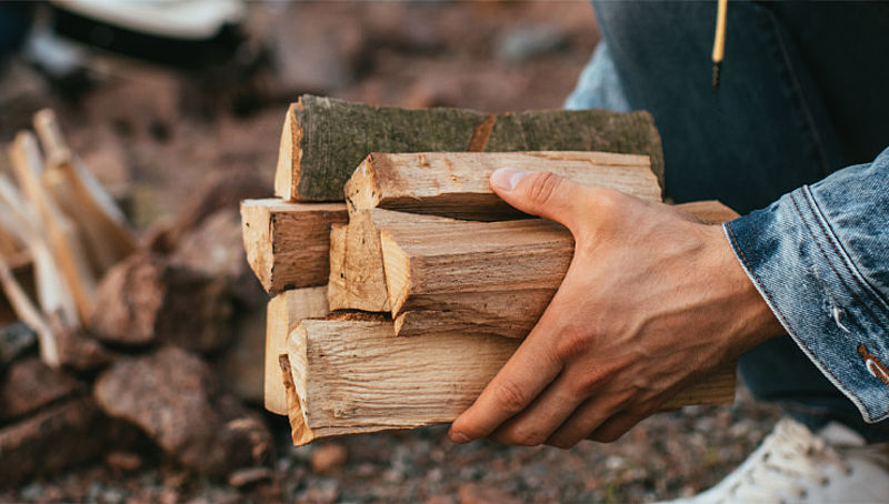 Харьковчане могут купить дрова в интернете: заработал госсервис "ДроваЄ"