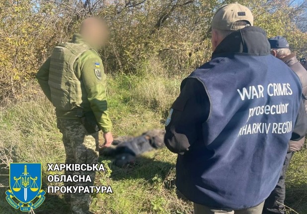 Расстрел колонны гражданских в Харьковской области: найдена 26-я жертва, двоих детей спасли прохожие
