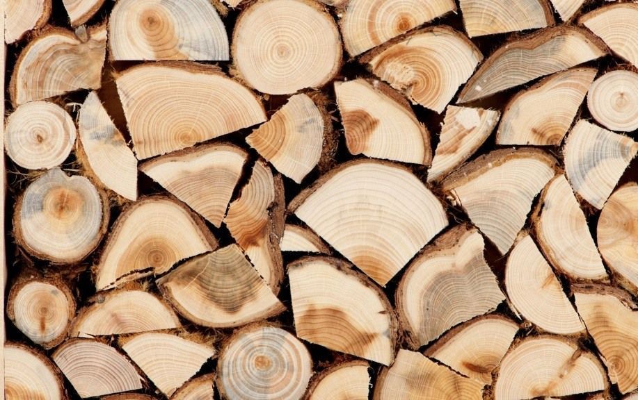 Стало известно, когда жители Харьковской области получат бесплатные дрова
