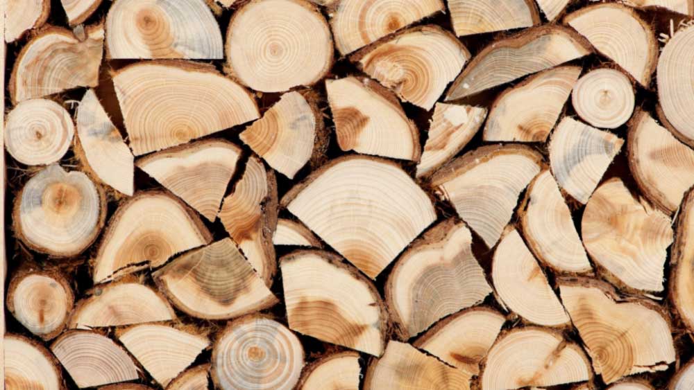 Бесплатные дрова в Харьковской области: сколько человек претендует и кто получит