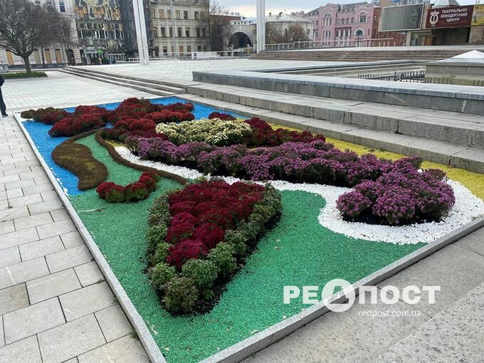 У центрі Харкова – "Бал хризантем" (фото)