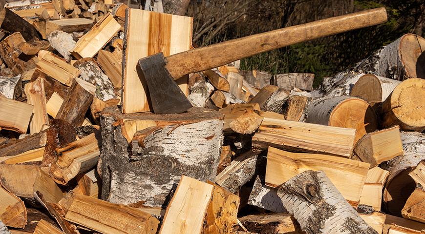 Харьковская область получит еще 20 миллионов на бесплатные дрова для людей