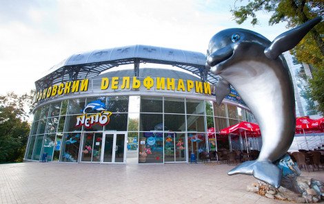 В Харькове заработал дельфинарий